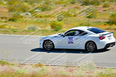 media/Apr-06-2024-Extreme Speed (Sat) [[3431b70655]]/Blue-Beginner/Session 1-The Bowl/